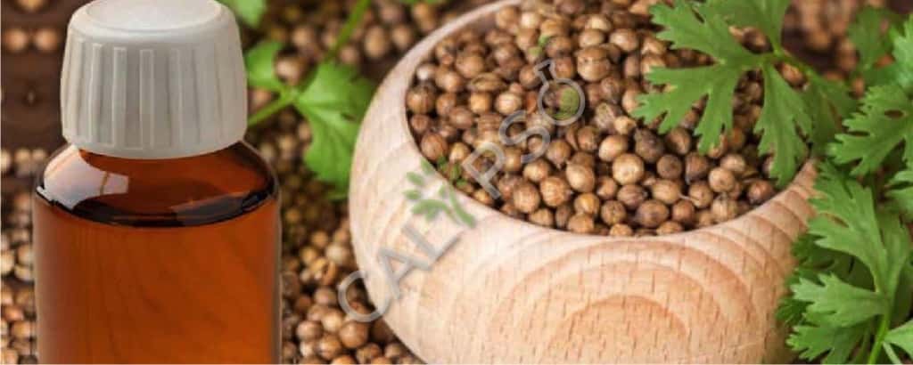 Coriander Seed Essential Oil Price